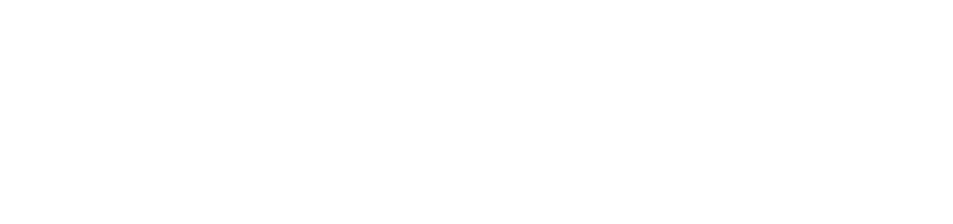 Litvue